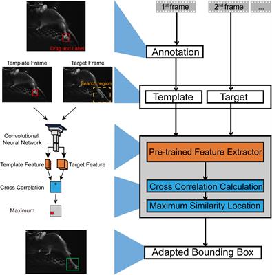 Siamese Network-Based All-Purpose-Tracker, a Model-Free Deep Learning Tool for Animal Behavioral Tracking